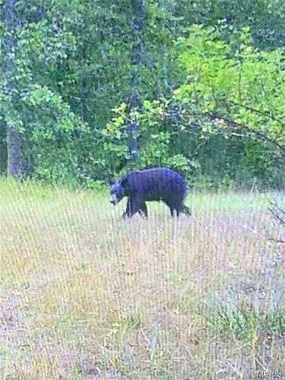 1170