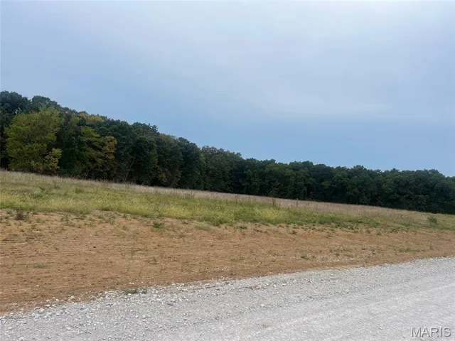 View of dirt / gravel road featuring a wooded view and a view of countryside