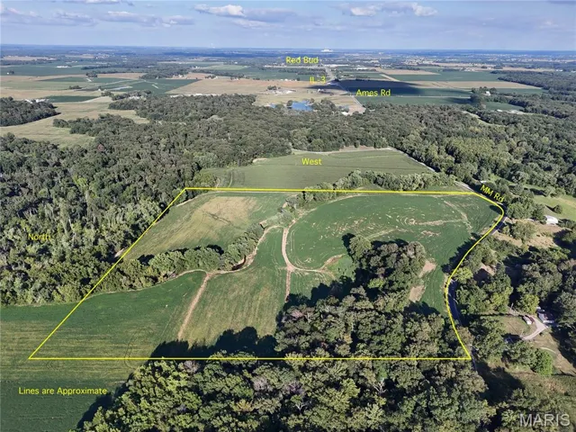 Aerial view of property and surrounding area featuring a forest and property boundaries highlighted