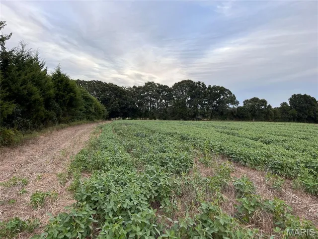 View of nature featuring rural landscape and rows of crops
