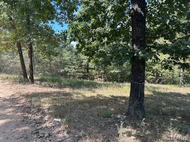 View of undeveloped land