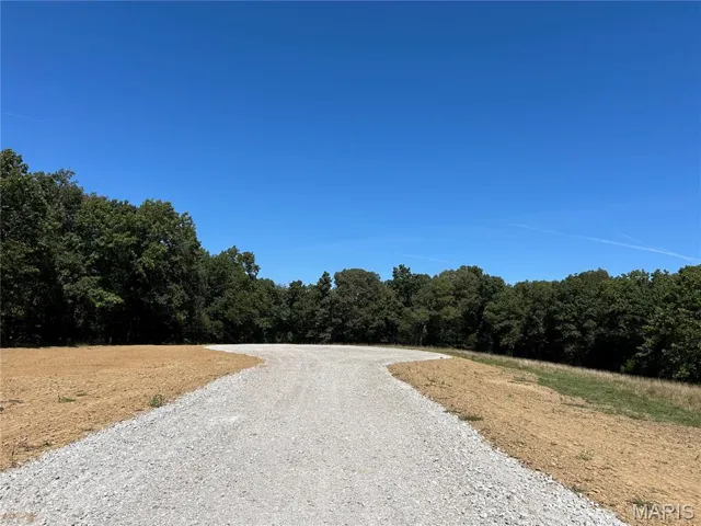 View of dirt / gravel road with a wooded view