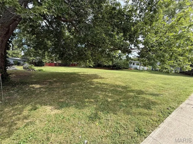 View of green lawn