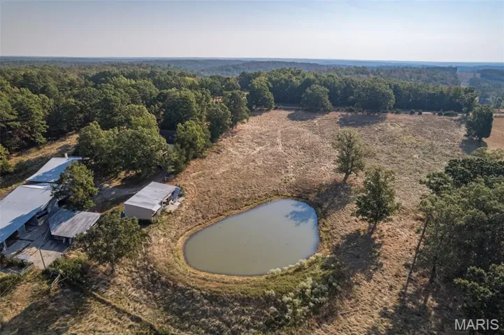 Bird's eye view of a large body of water and a forest