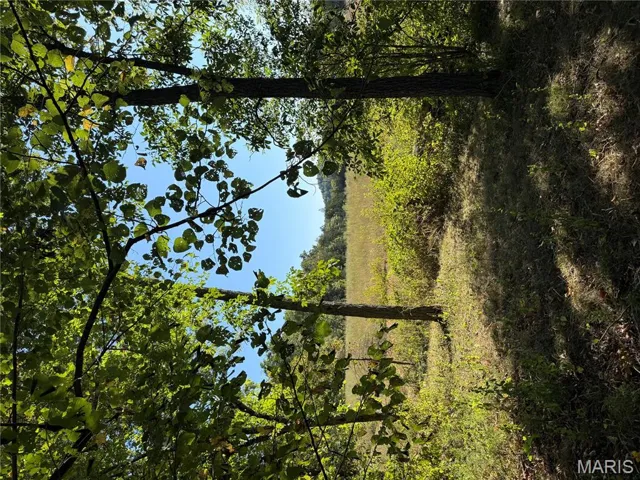 View of undeveloped land