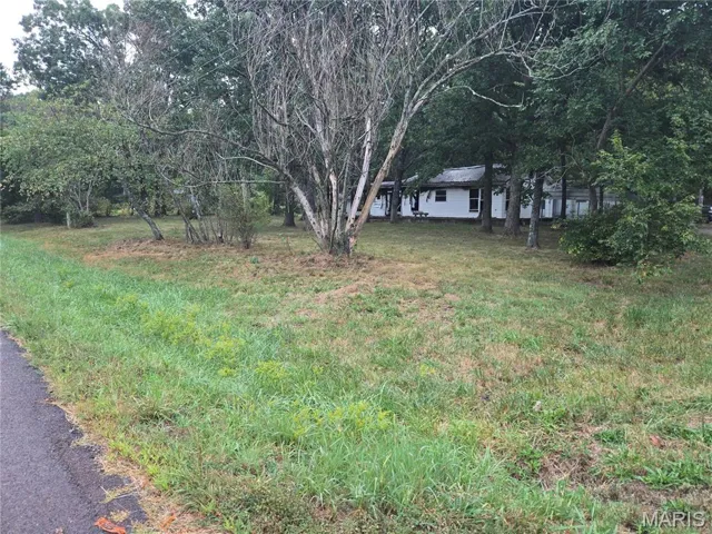 View of grassy yard
