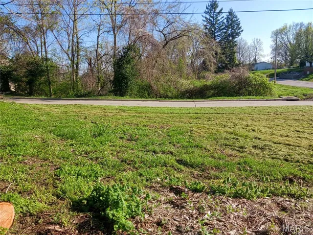 View of green lawn