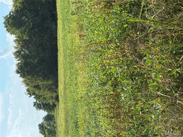 View of undeveloped land with rural landscape