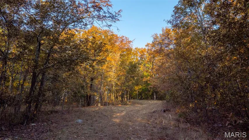 View of wooded area