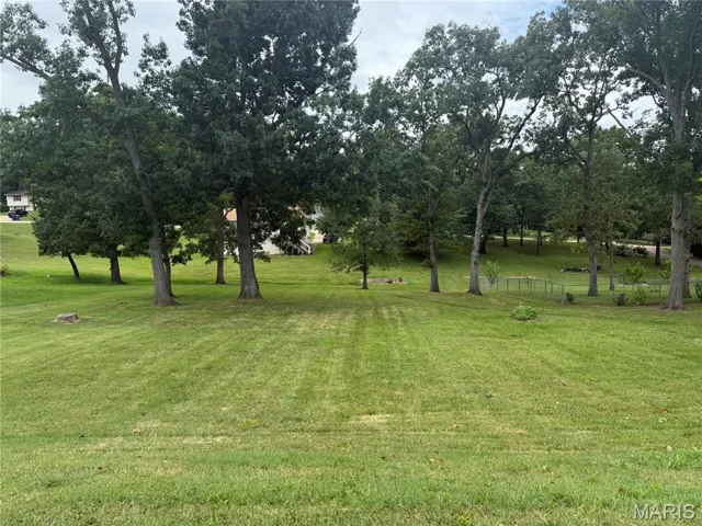 View of green lawn featuring view of scattered trees