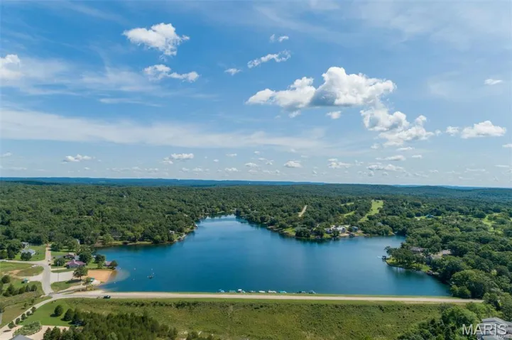 Bird's eye view of a forest and a nearby body of water
