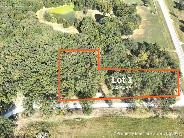 Aerial view of property's location featuring property parcel outlined and a forest