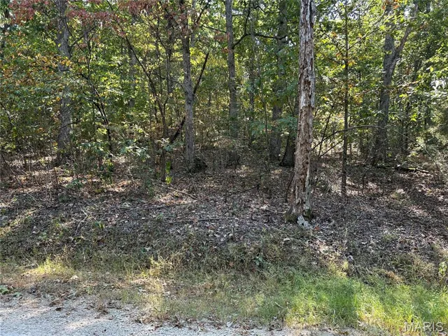 View of undeveloped land