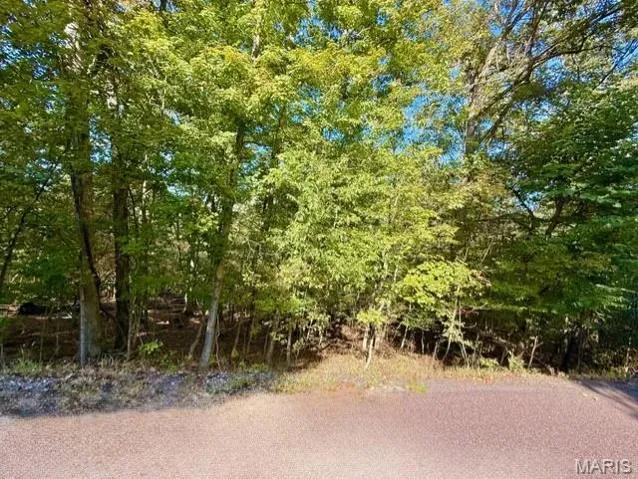 View of undeveloped land