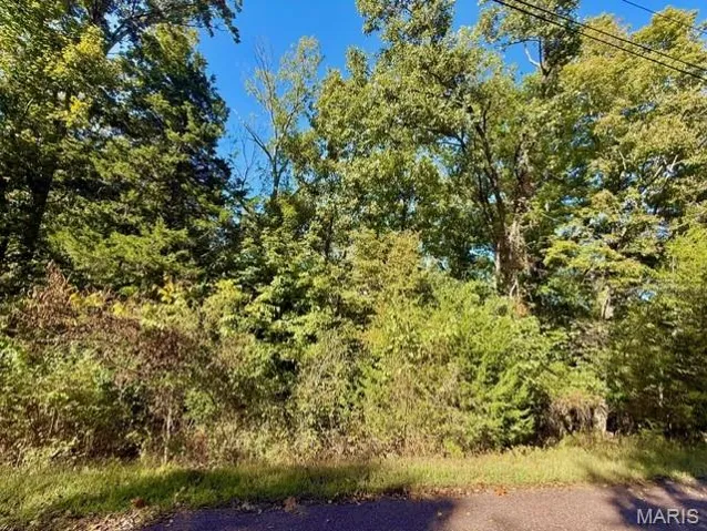 View of woods