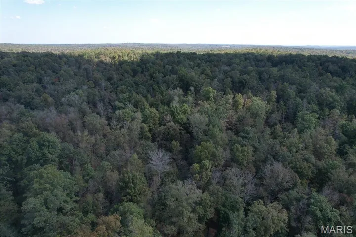 Drone / aerial view of a forest