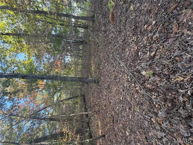 View of undeveloped land