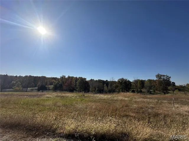 View of woods featuring a rural view
