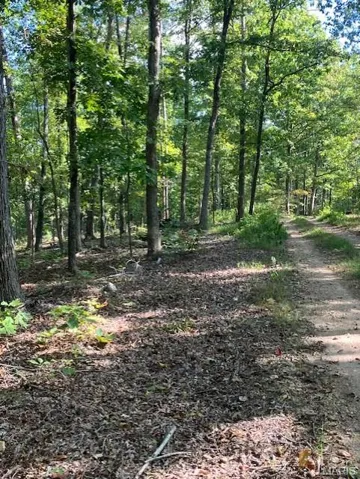 View of woods