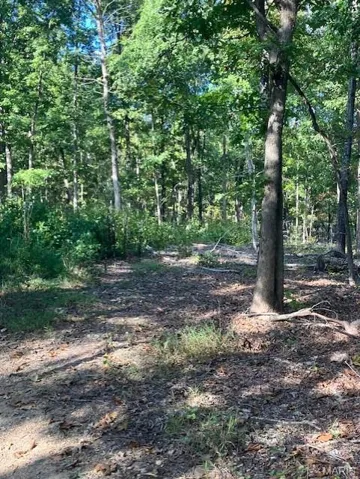 View of undeveloped land