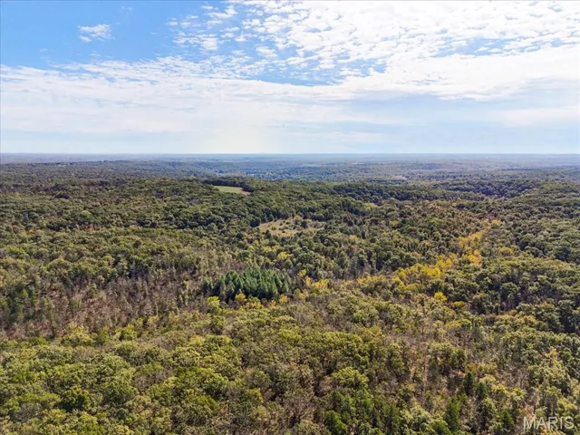 Aerial view of a forest