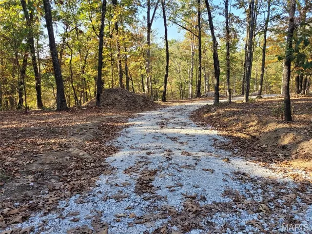 View of road with a view of trees