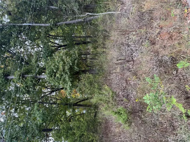 View of undeveloped land