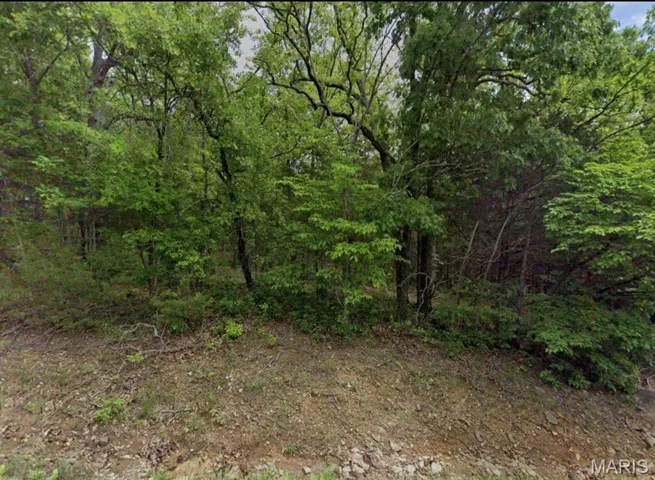 View of tree filled area