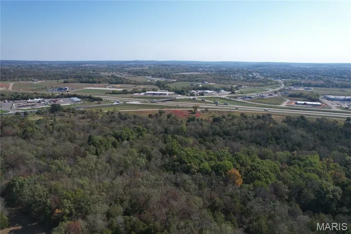 Bird's eye view of a forest