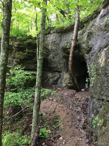 One of the cave entrances!  This is on the 84 acres and it could be yours!