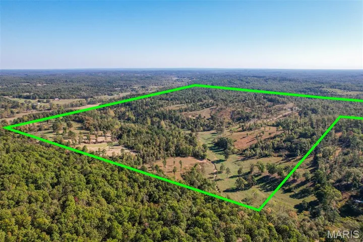 Aerial overview of property's location with a forest and property boundaries highlighted