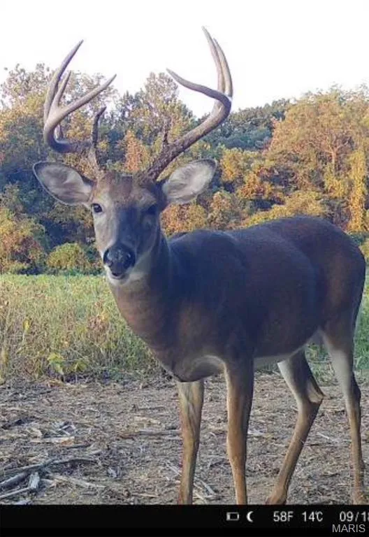 1170