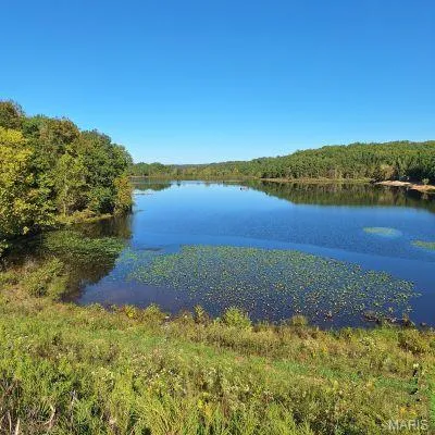 Water view with a forest