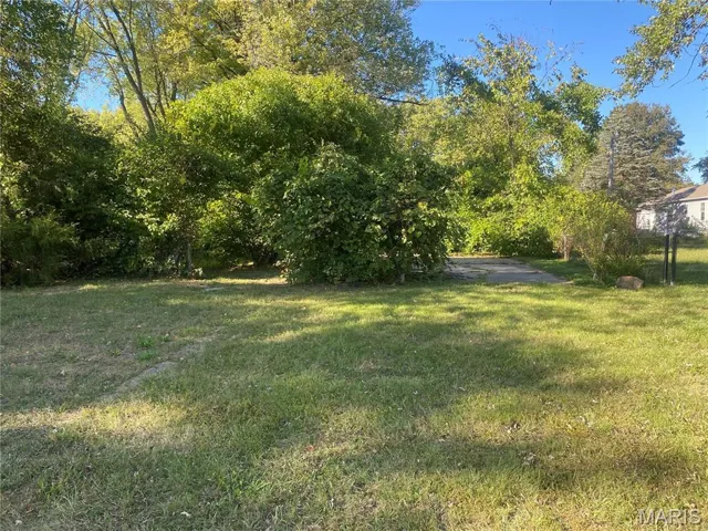 View of green lawn