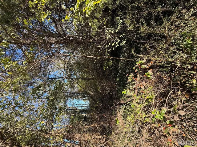 View of undeveloped land