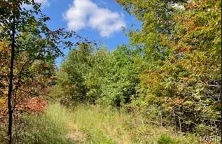 View of wooded area