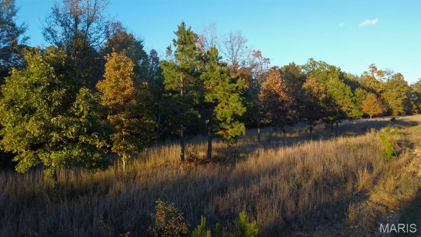 View of tree filled area
