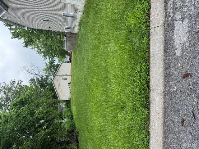 View of yard featuring view of scattered trees