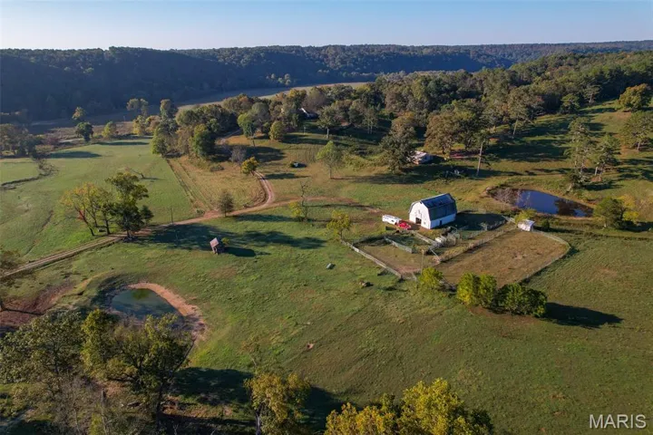 View of property location with a heavily wooded area and rural landscape