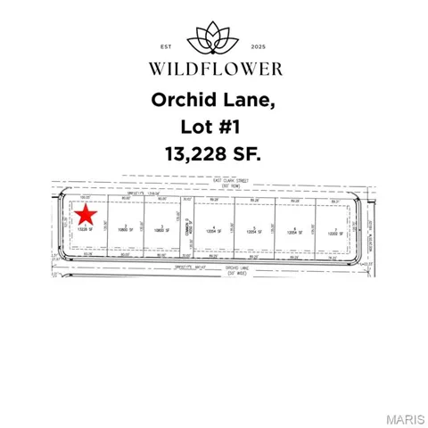 Lot #1 Survey Detail