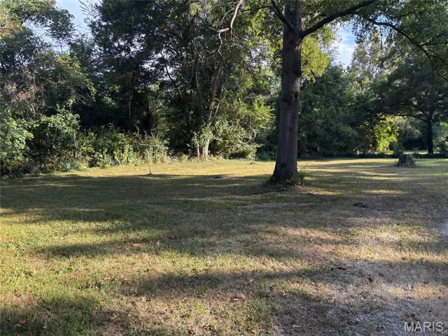 Level back yard