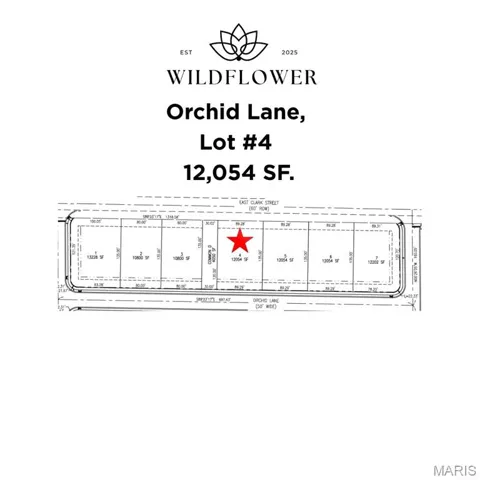 Lot #4 Survey Detail