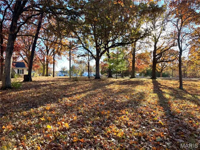 Large, level lot