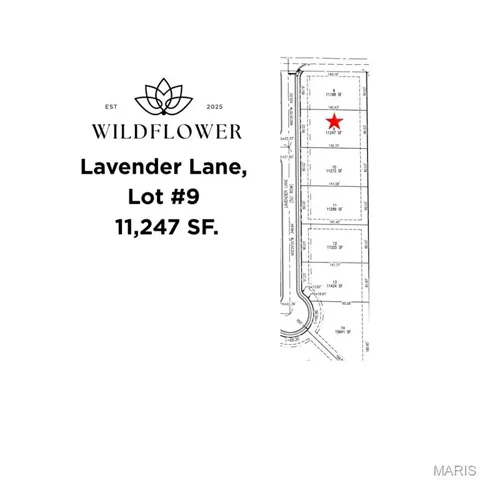 Lot #9 Survey Detail