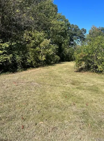 View of green lawn