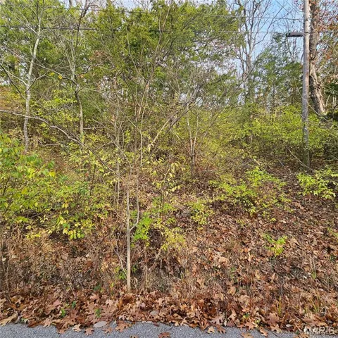 View of local wilderness