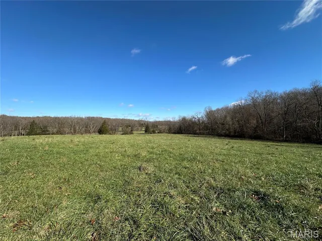 View of wooded area with a rural view