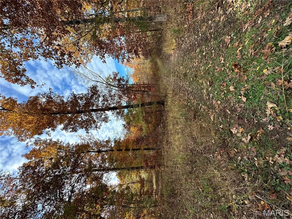 1170