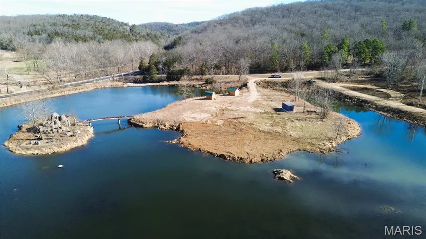 Drone / aerial view of a forest and a water and mountain view