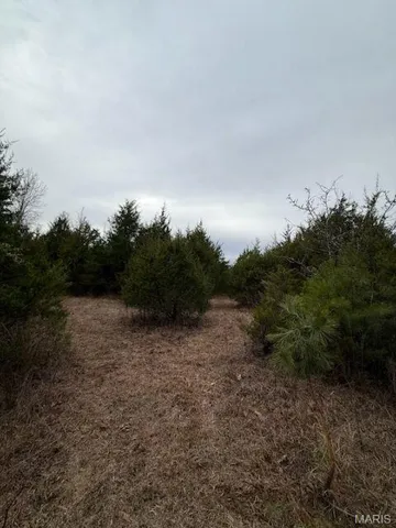 View of tree filled area